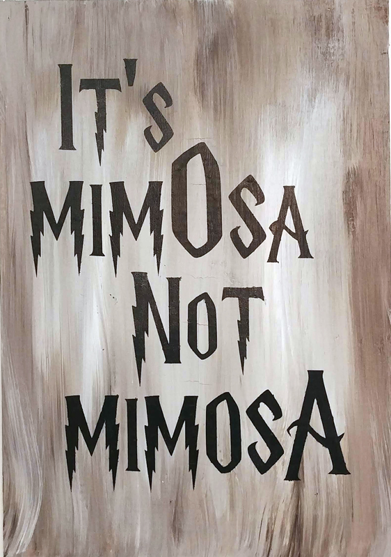 It's MimOsa Not MimosA
